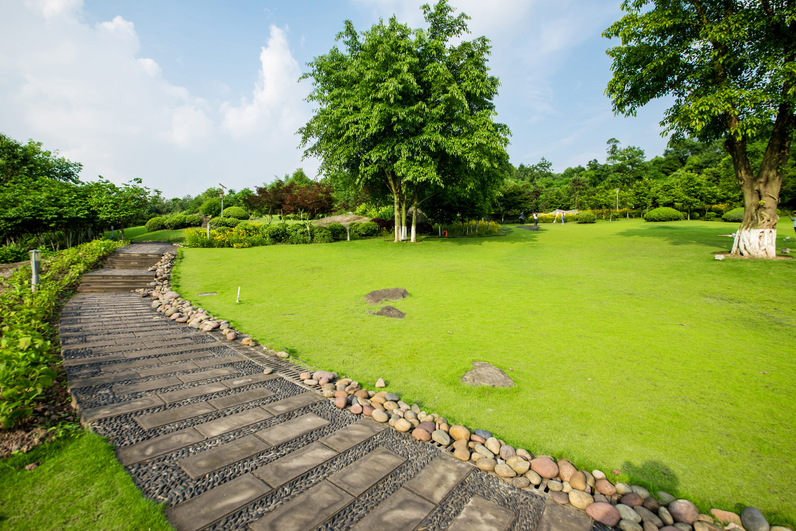 Grassland landscape and greening environment park background Elevate Your Outdoors with Artful Design