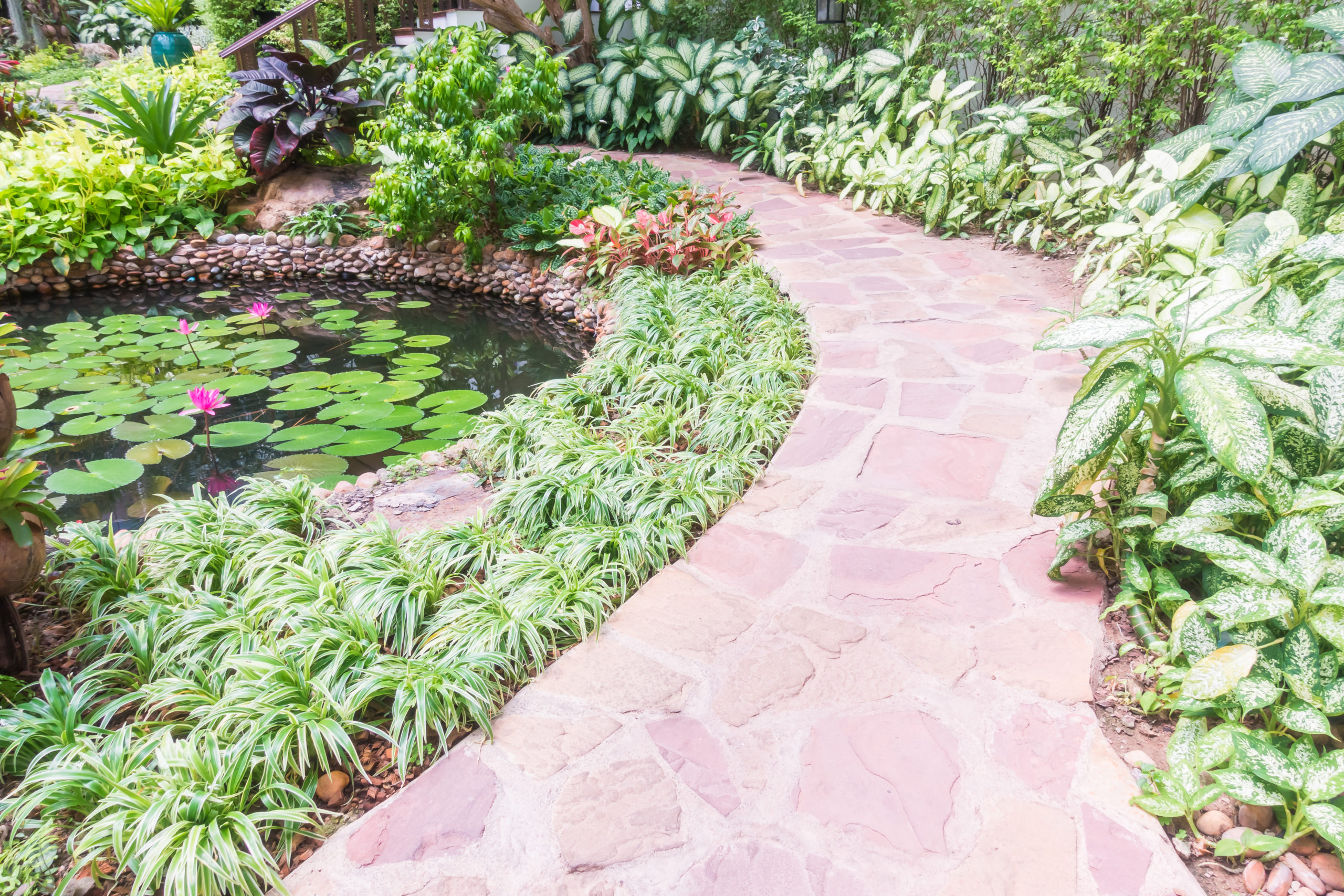 Path way Garden Landscape Design