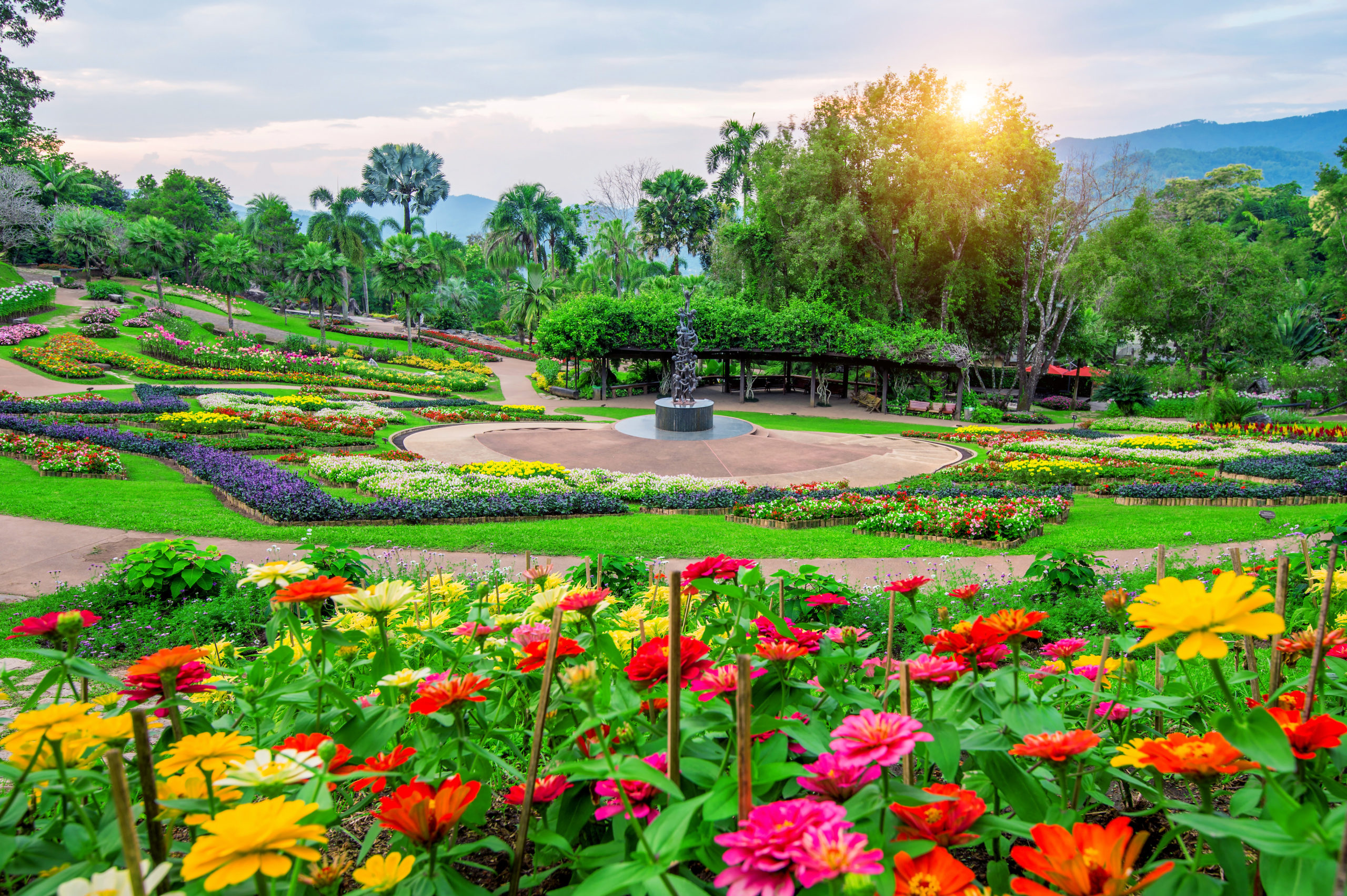 Garden flowers, Mae fah luang garden locate on Doi Tung in Chian Functional Aesthetics